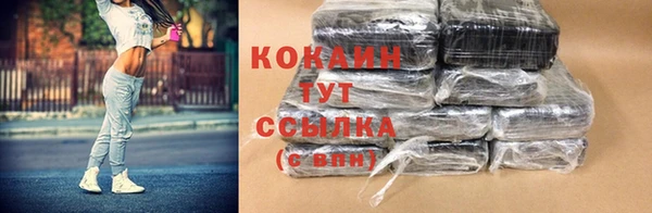 стаф Алзамай