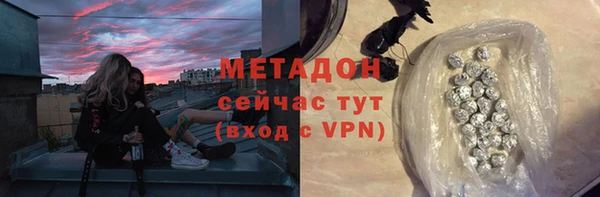 прущие грибы Абинск