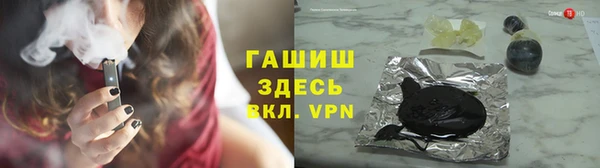 стаф Алзамай