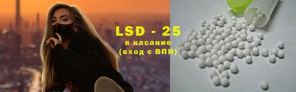 прущие грибы Абинск