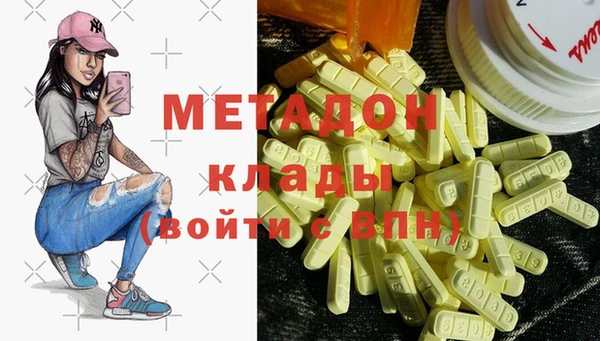 прущие грибы Абинск