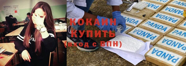 прущие грибы Абинск