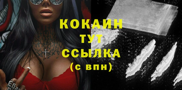 прущие грибы Абинск